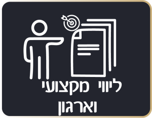 ליווי מקצועי וארגון